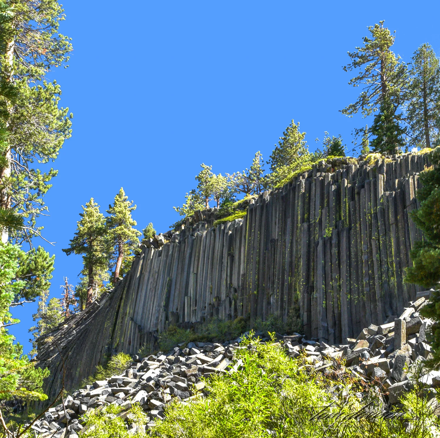 Over time, erosion and earthquakes broke off some of the columns that now lie fragmented below the postpile.