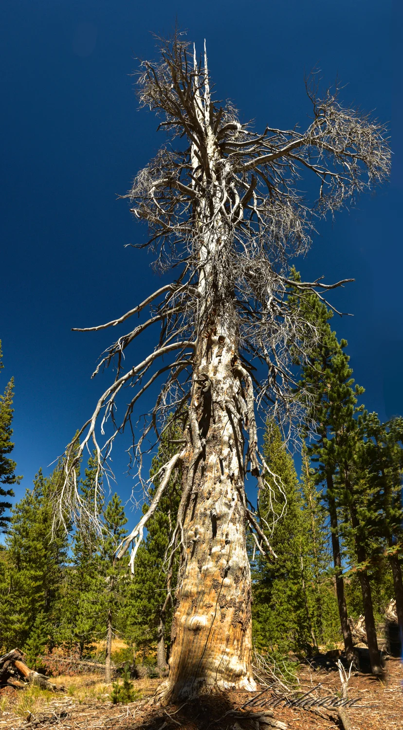Devil's Postpile-20.jpg