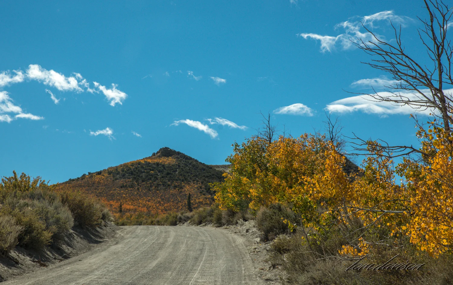 Ah, this could be fun!! Road as we approached our destination.