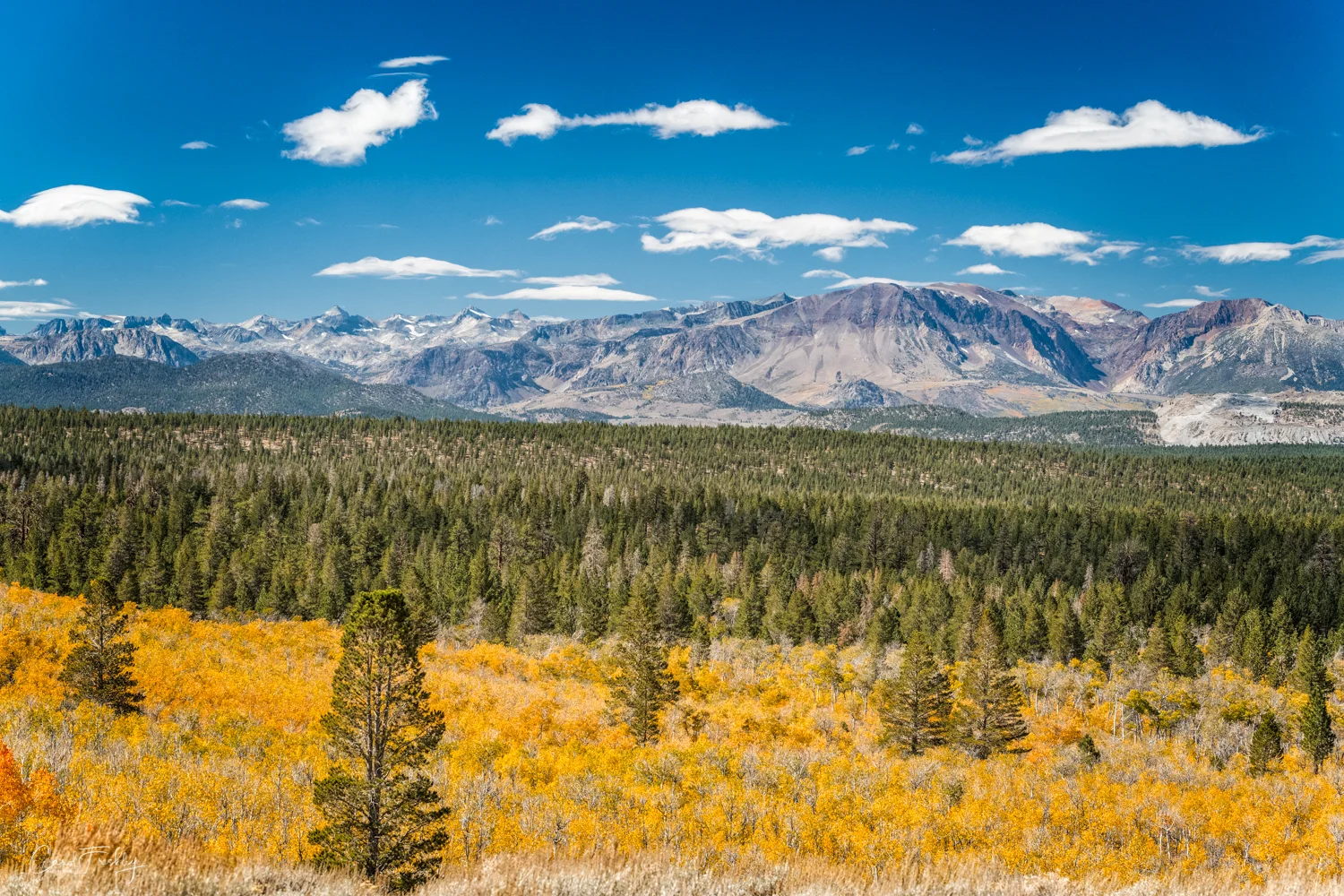 Two image pano.