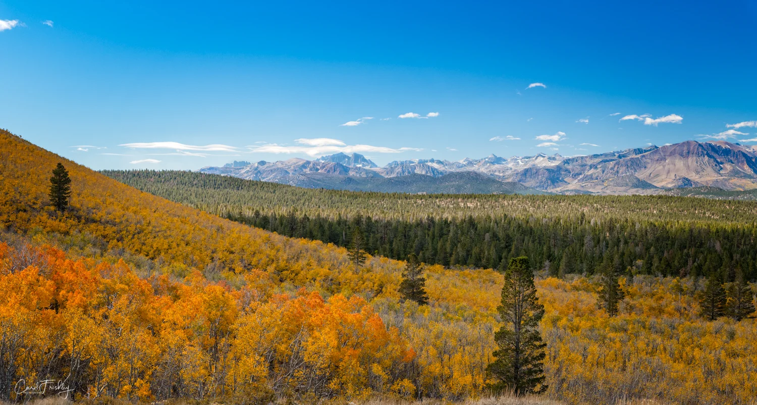 Two image pano.