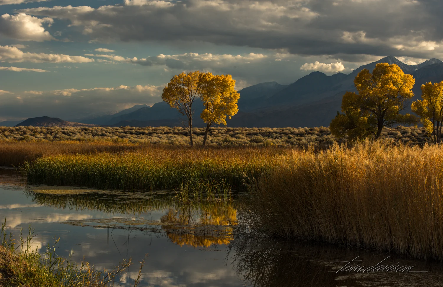 Ponds near Bishop.