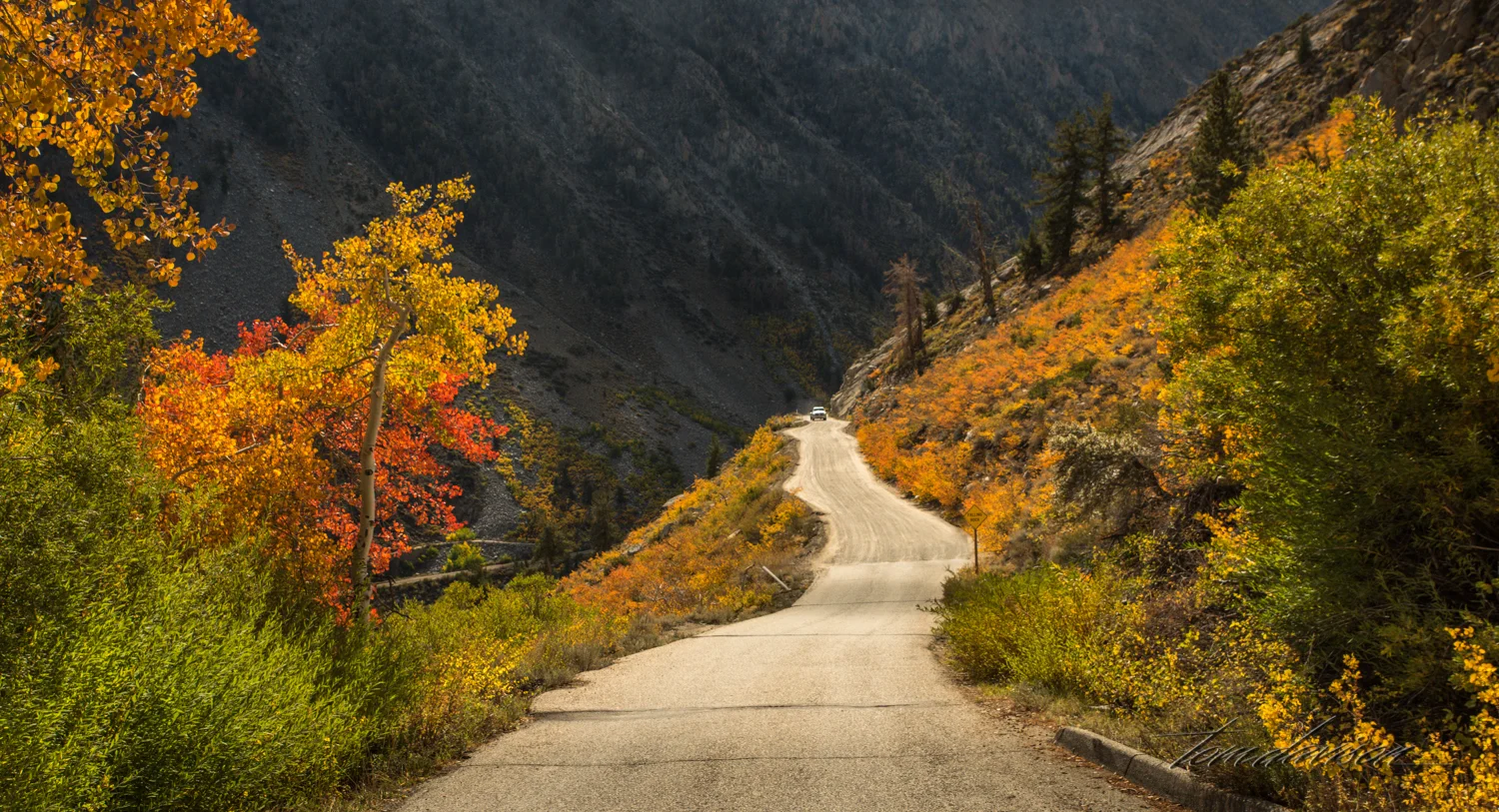 Road to North Lake (one lane with some pullouts).