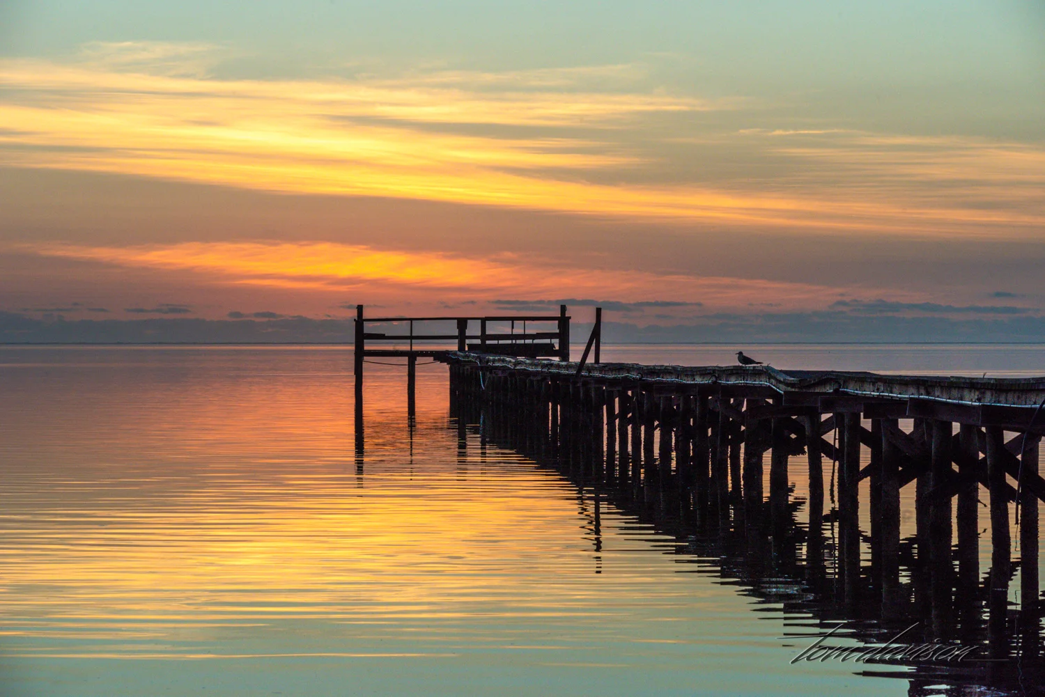 TD Boats and Sunsets-8.jpg