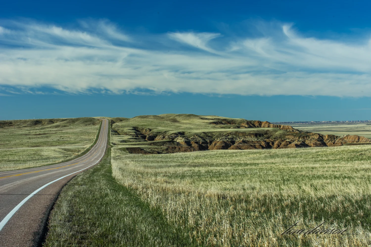 This is such a typical photograph representing the richness of the prairie grasses in the park. There are 60 species of prairie grass in the park. I imagine these grasses turn yellow and brown in the extreme summer heat, but for now following significant winter and spring rains, the prairie is flourishing.