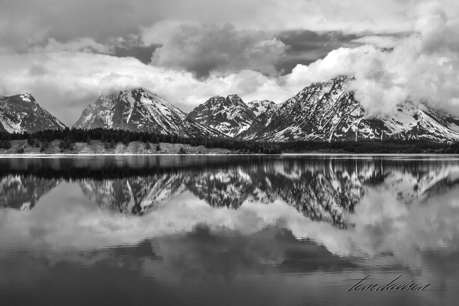 Teton TD-15.jpg