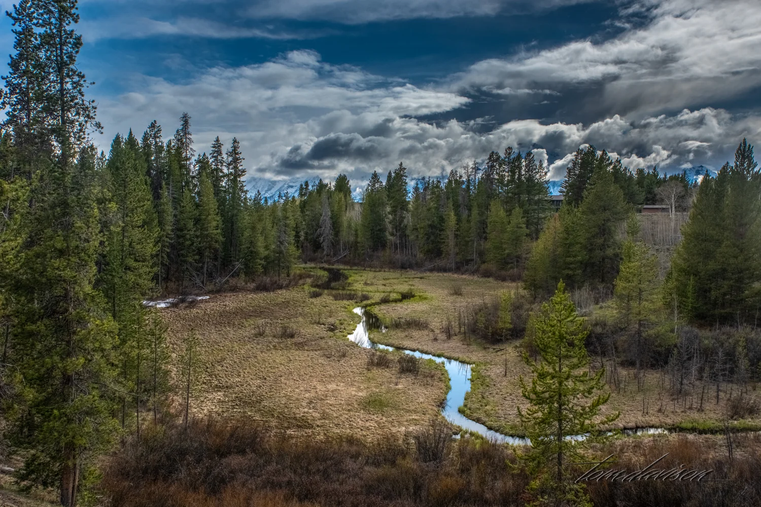 Teton TD-32.jpg