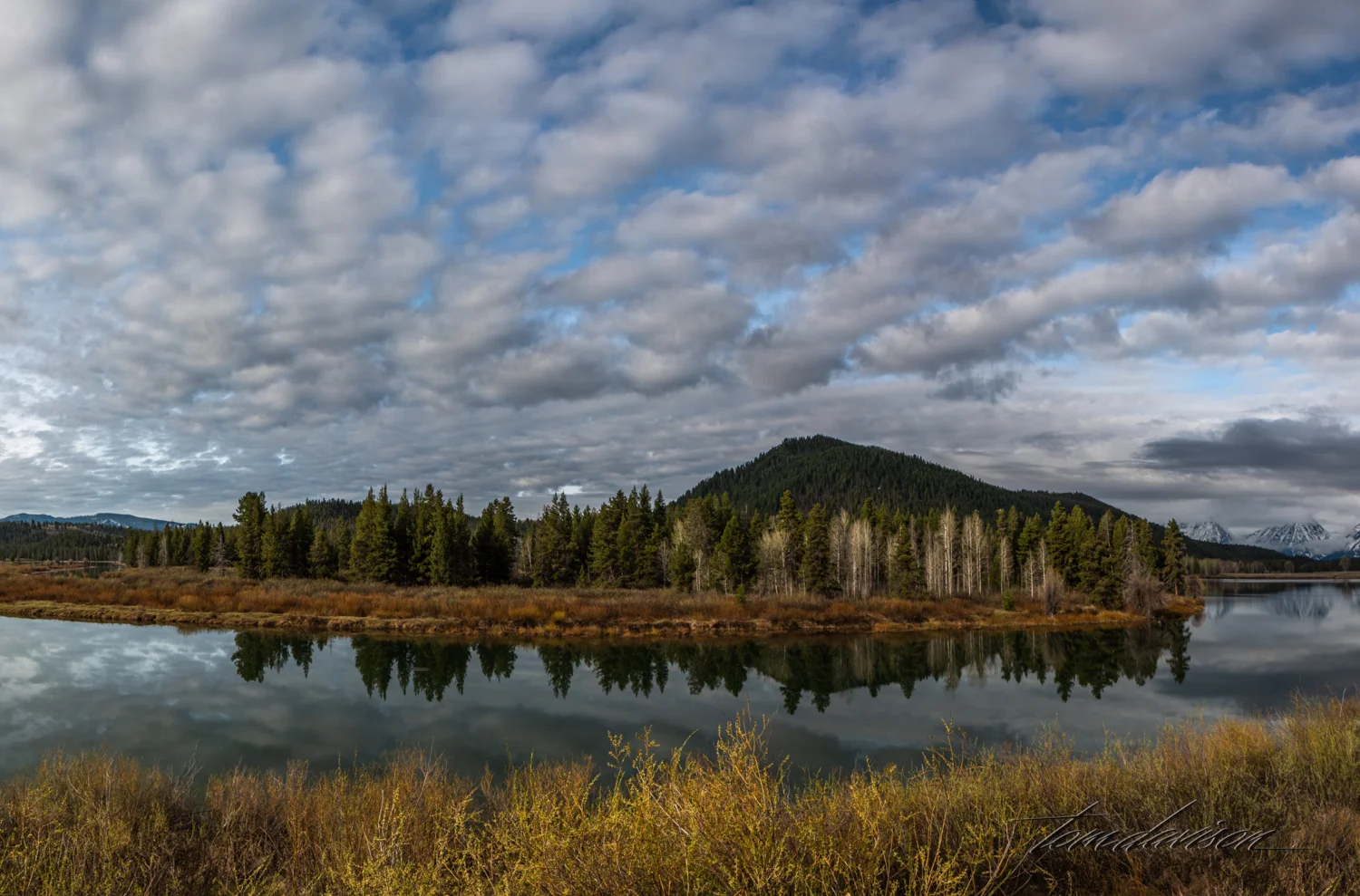Teton TD-40.jpg