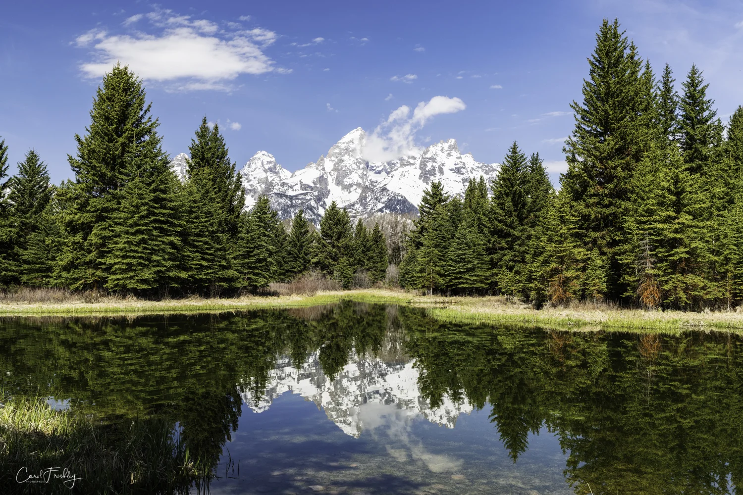 Teton National Park-1042.jpg