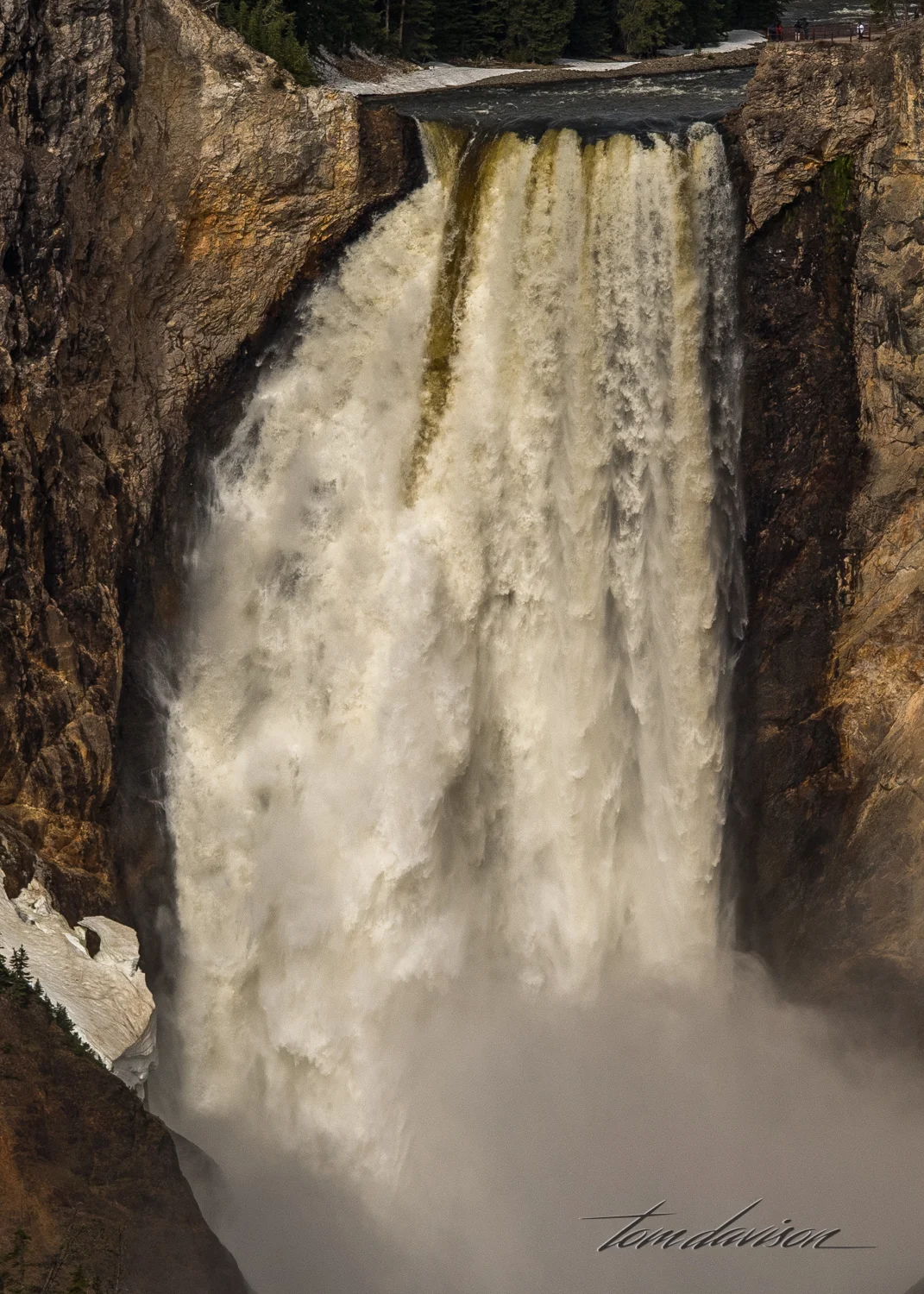 Y Grand Canyon TD-8.jpg