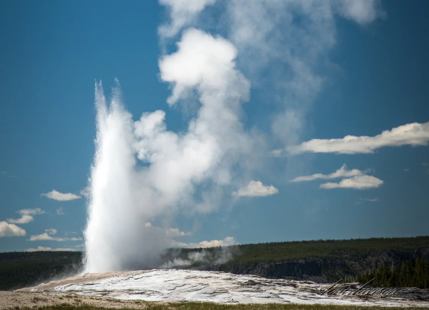 Old Faithful