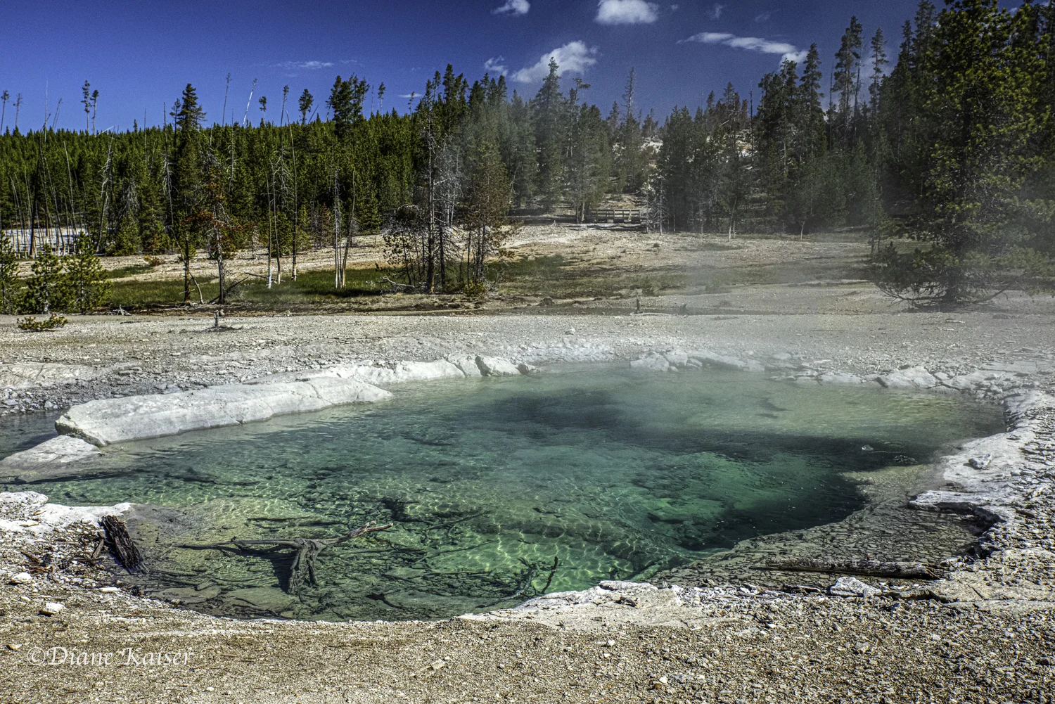 Norris Back Geyser Basin
