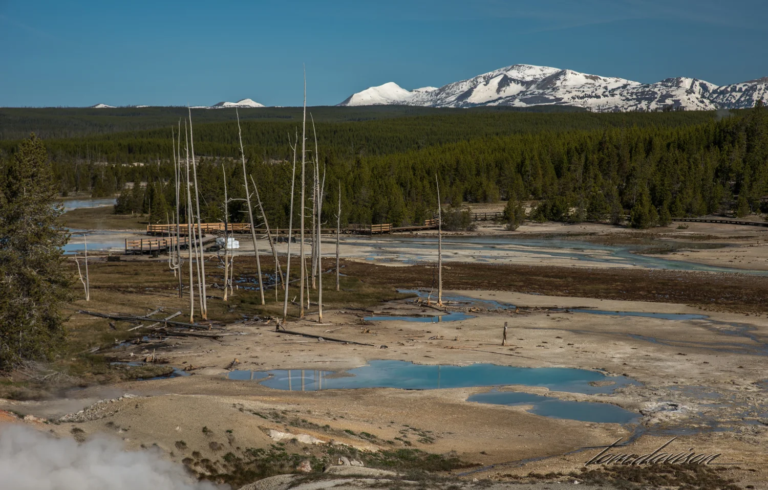 Porcelain Geyser Basin