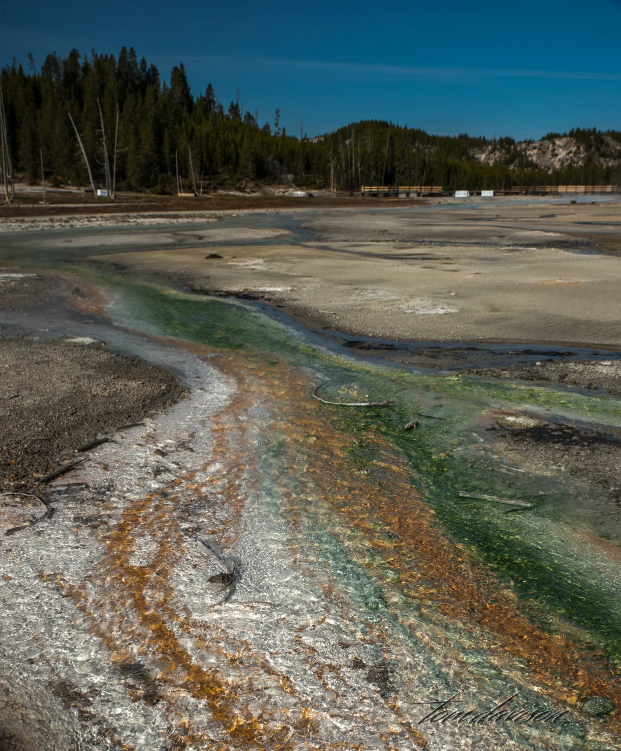 Porcelain Geyser Basin
