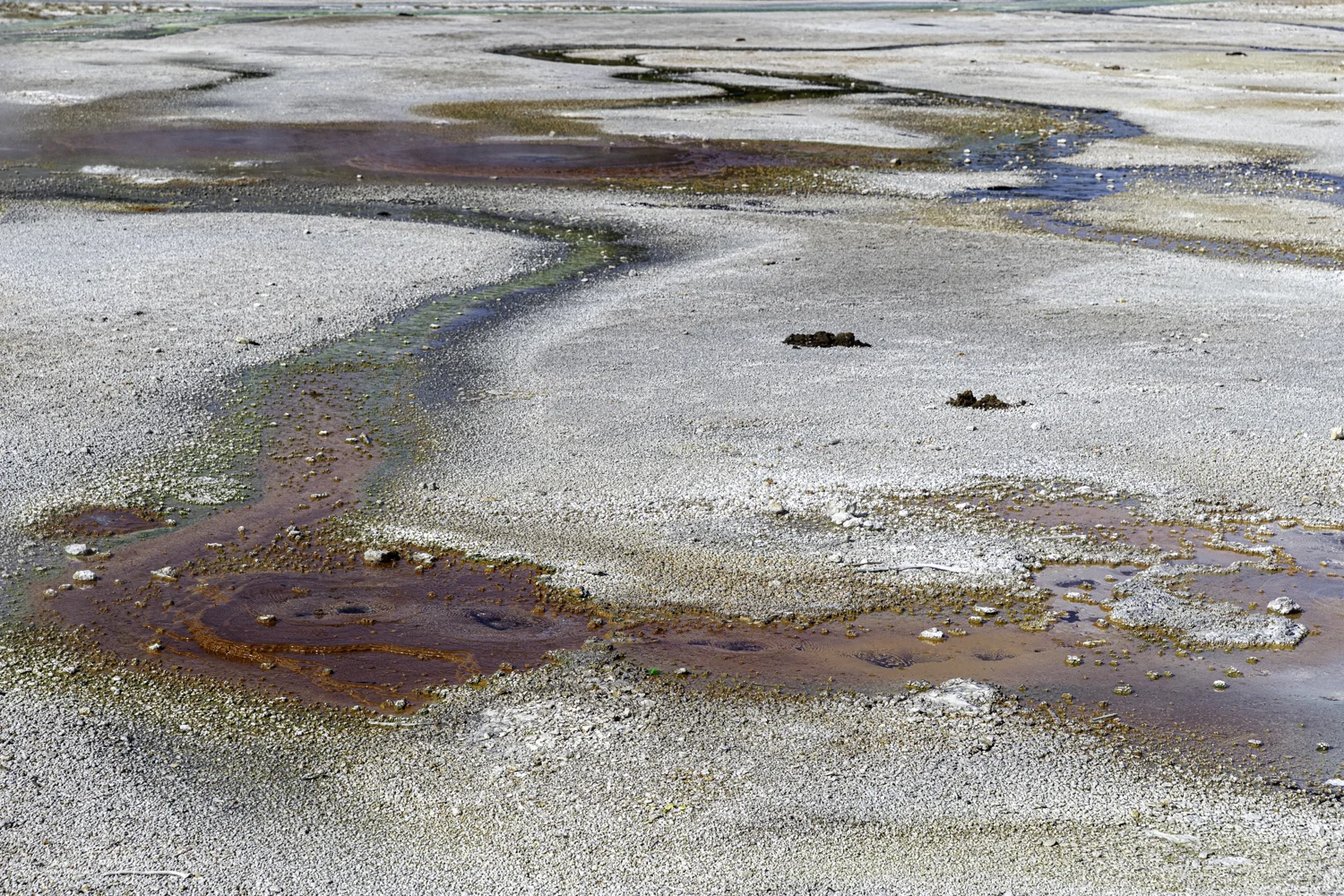 Porcelain Geyser Basin