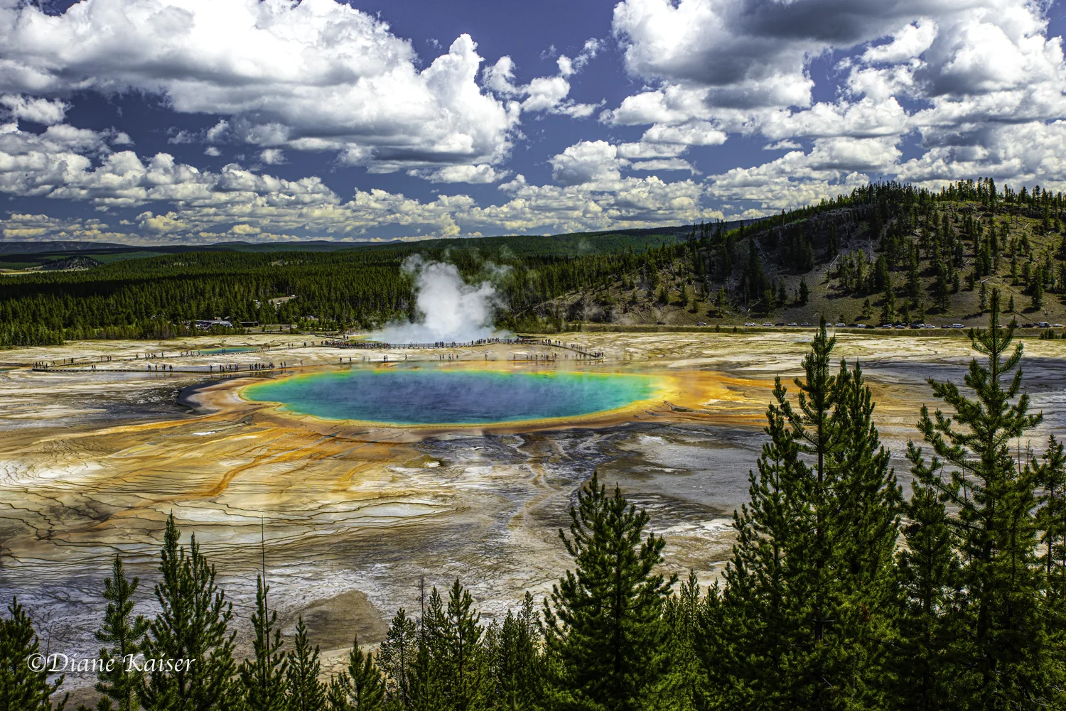 DK Yellowstone-36.jpg