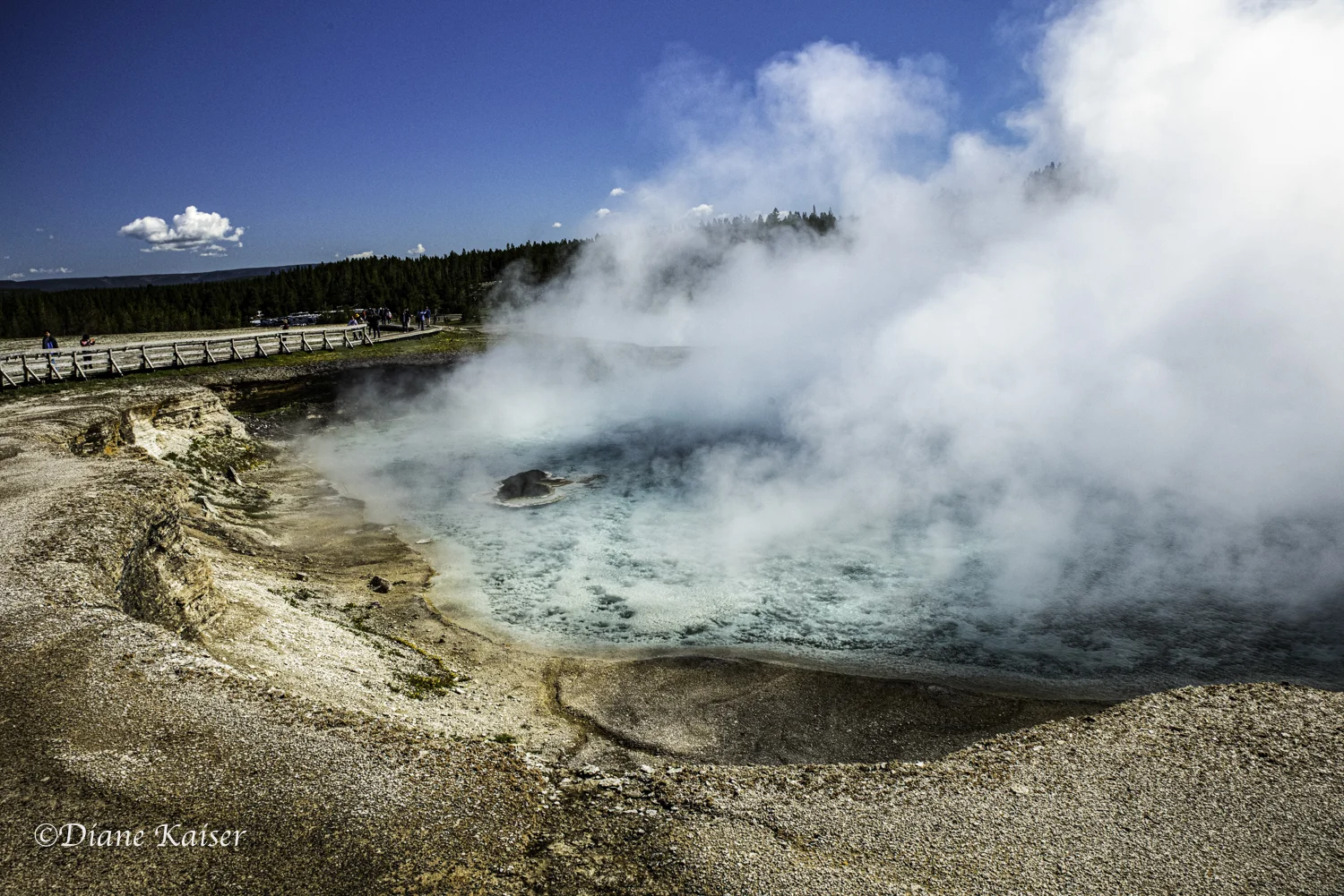 DK Yellowstone-22.jpg