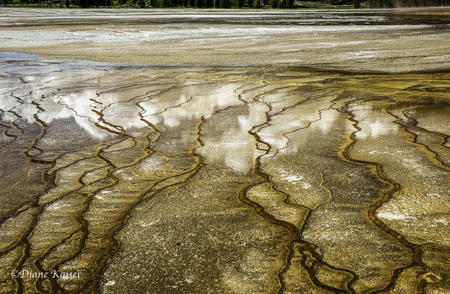 DK Yellowstone-25.jpg