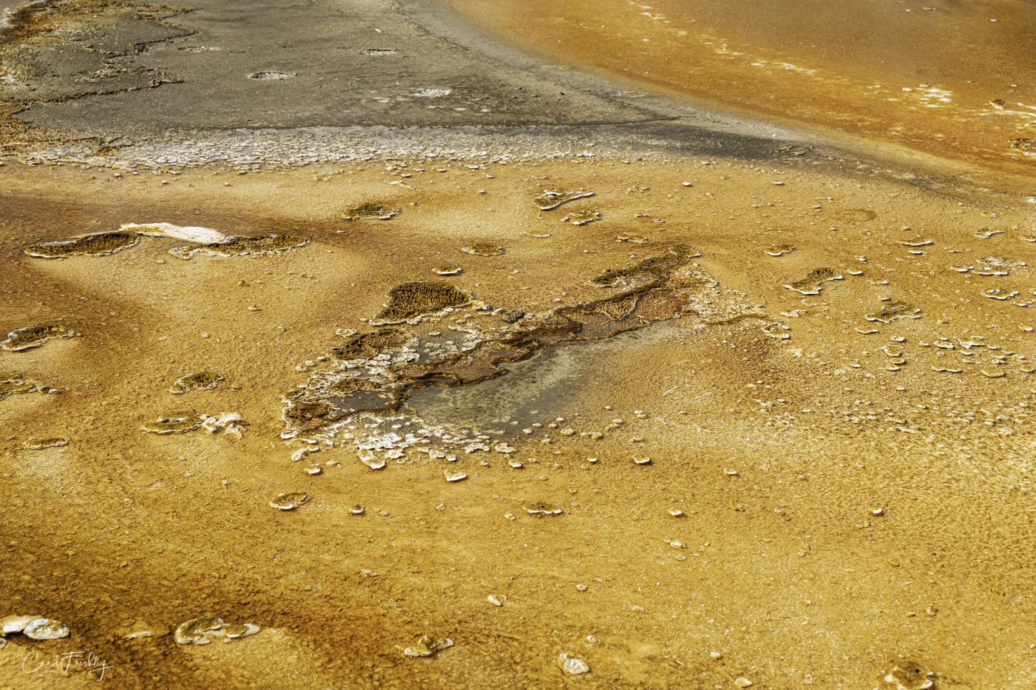 Prismatic Spring-131.jpg