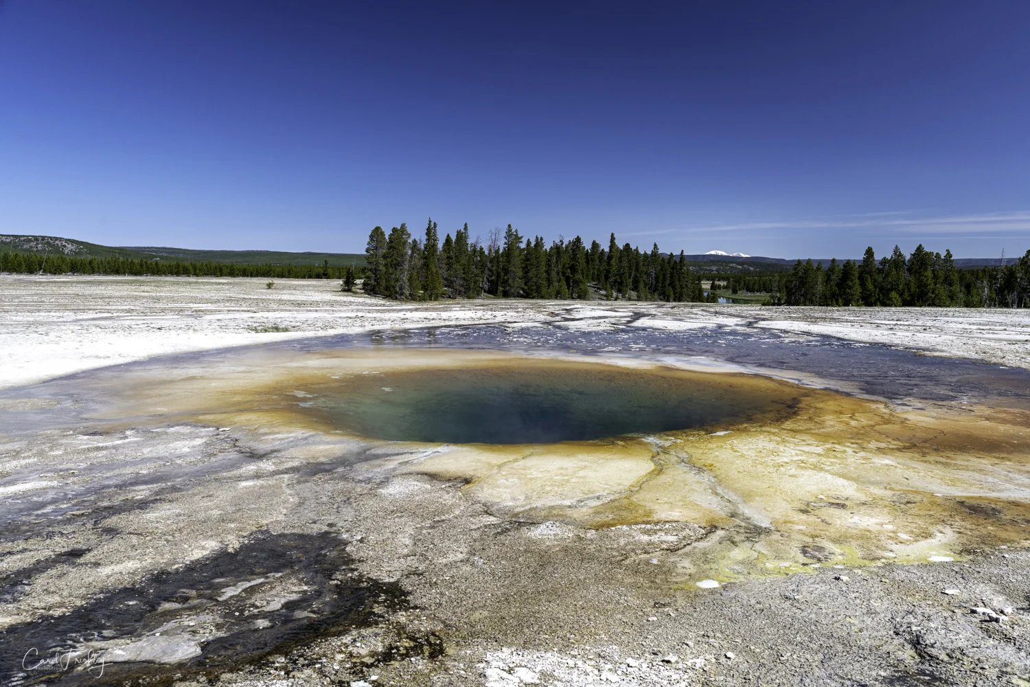 I believe this is Opal Spring.