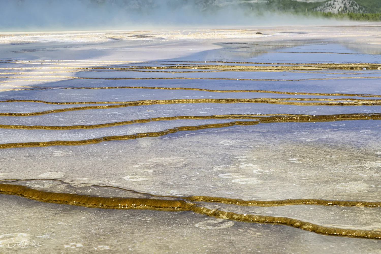 Prismatic Spring-116.jpg