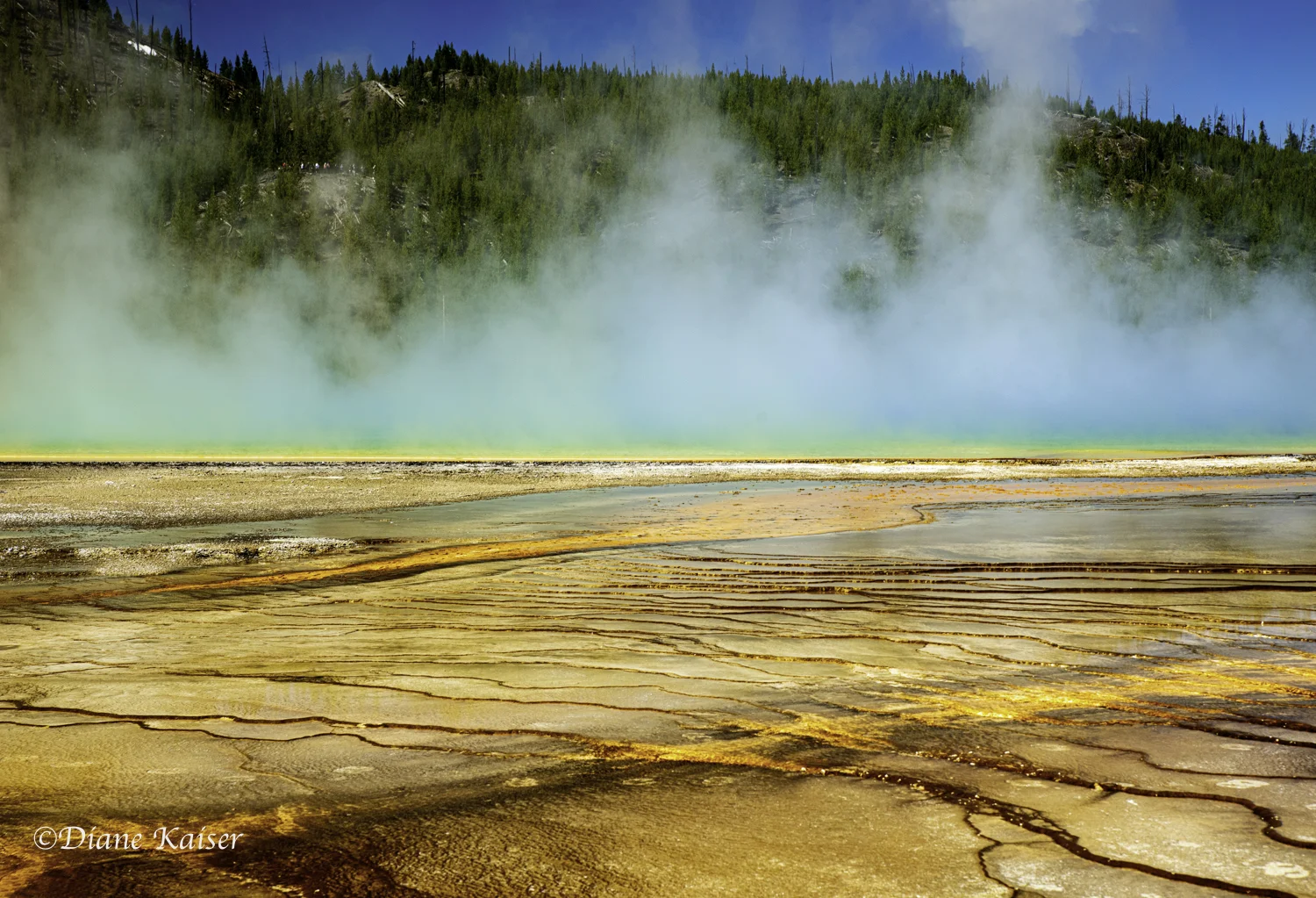 DK Yellowstone-27.jpg