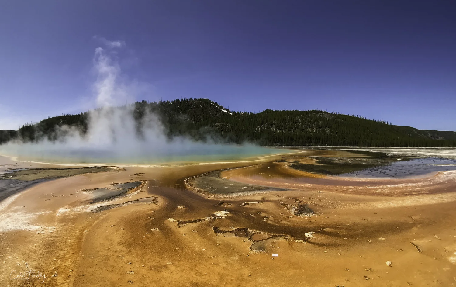 Prismatic Spring-73.jpg