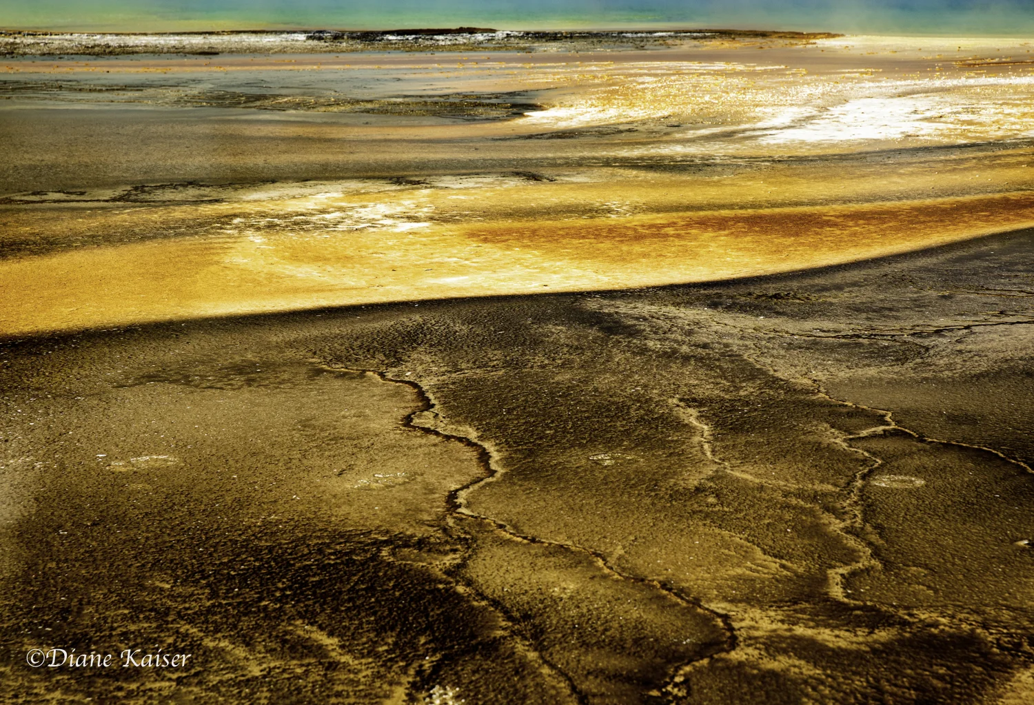 DK Yellowstone-29.jpg