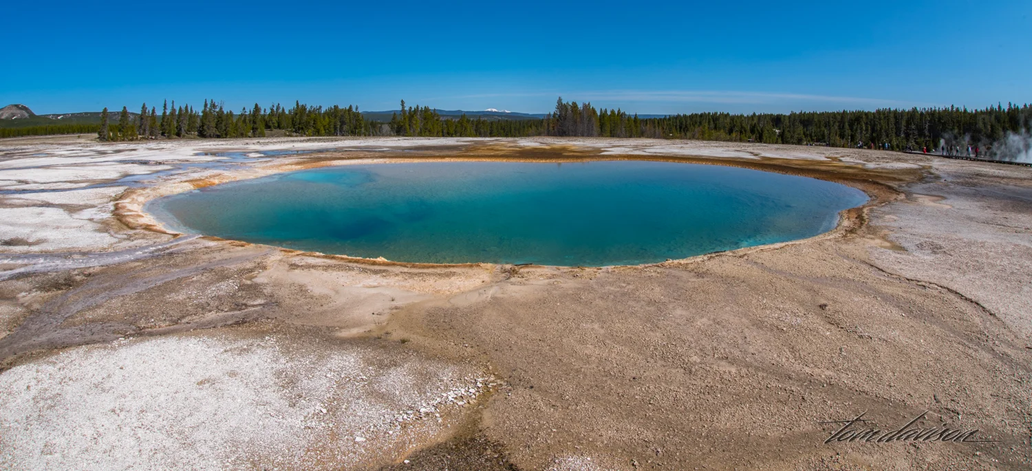 Turquoise Spring.
