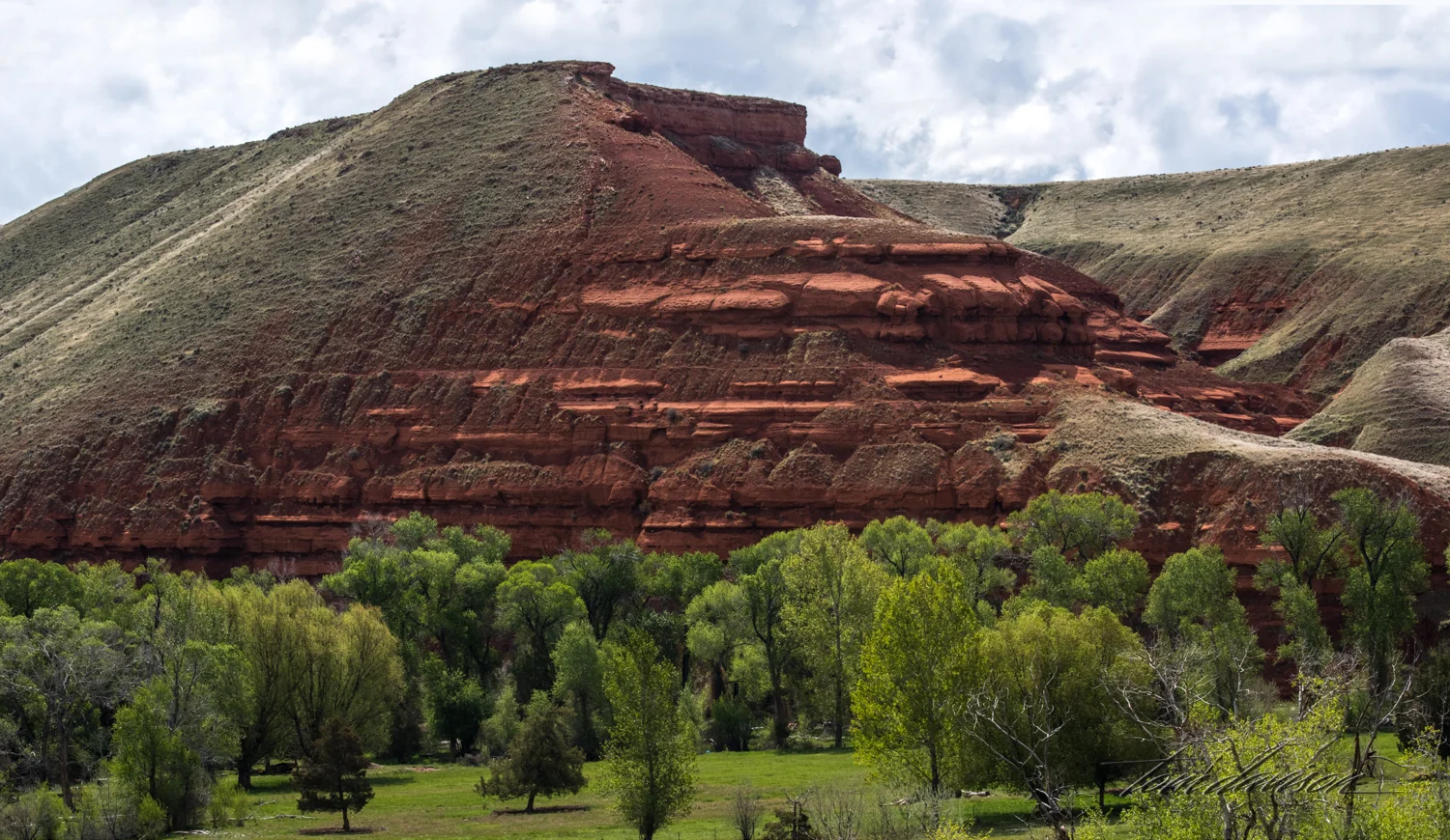 Y RV Park Area TD-3.jpg