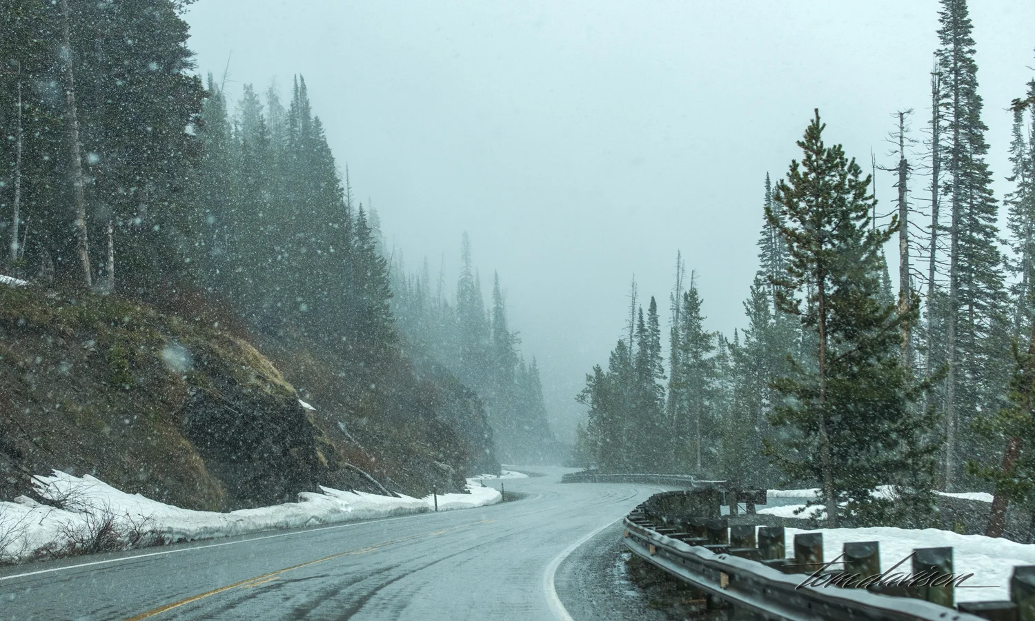 Y Road to Yellowstone TD-9.jpg