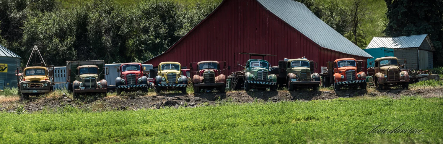 Someone has quite a collection going!!