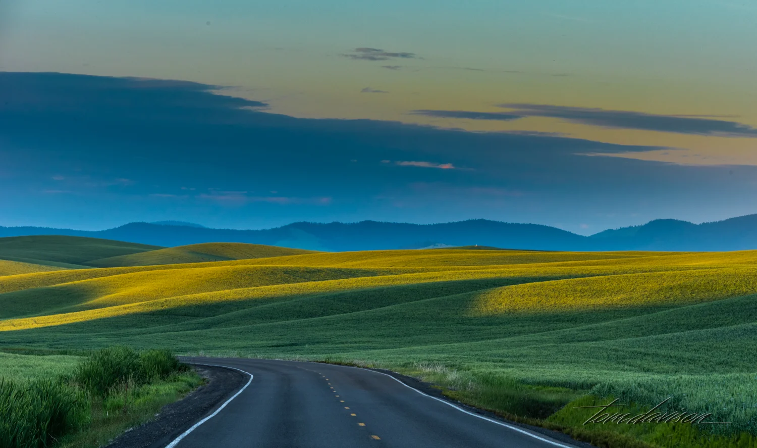 TD Palouse-10.jpg