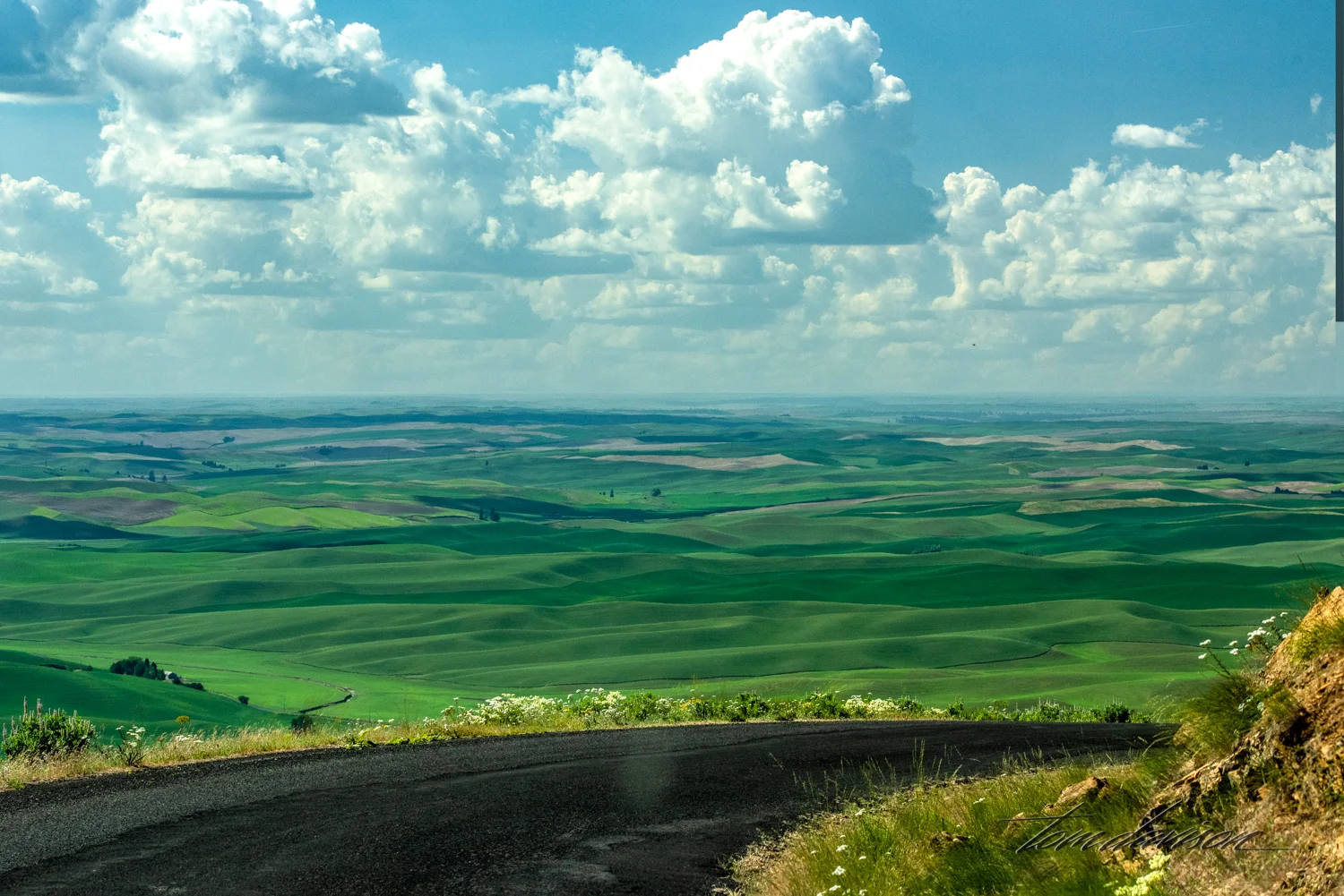 TD Palouse-14.jpg