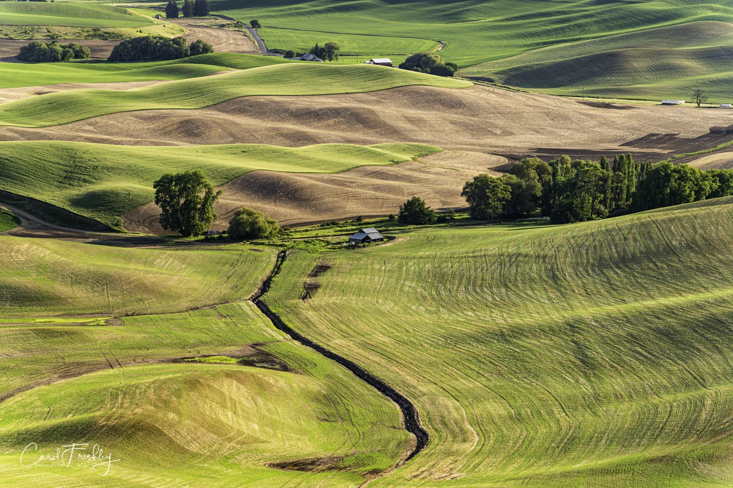 Palouse Valley-128.jpg