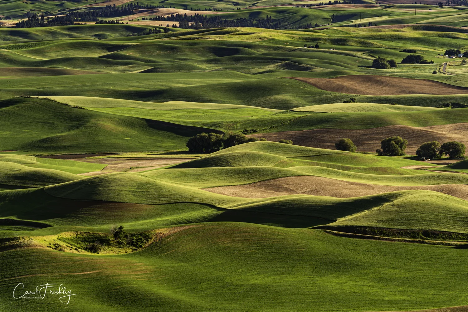 Palouse Valley-126.jpg