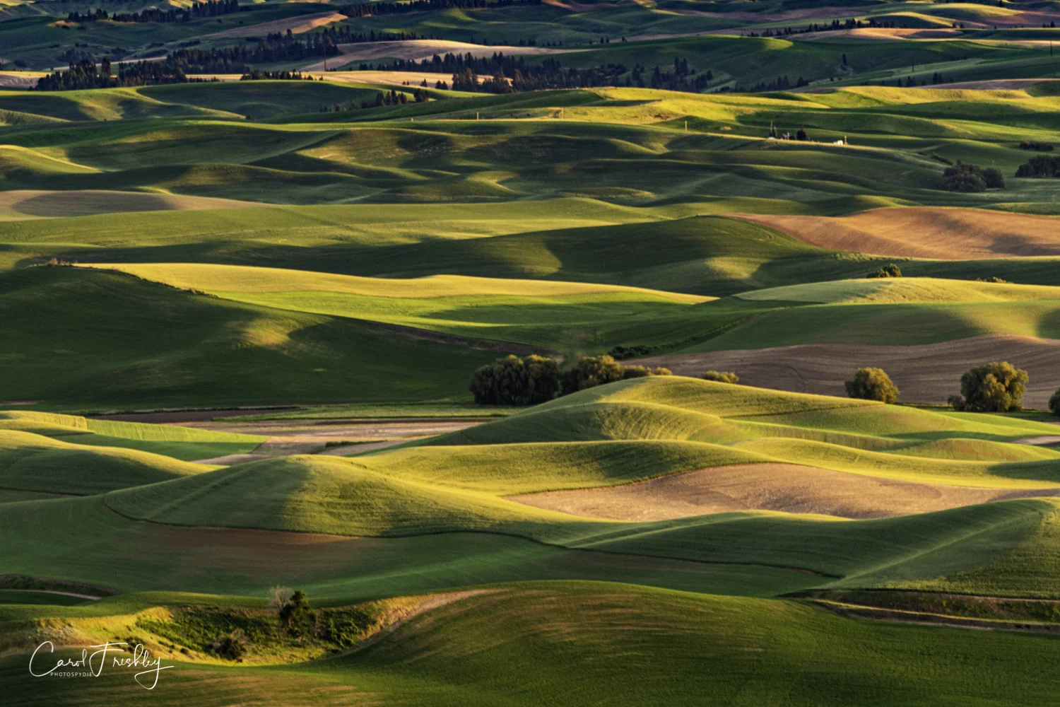Palouse Valley-145.jpg