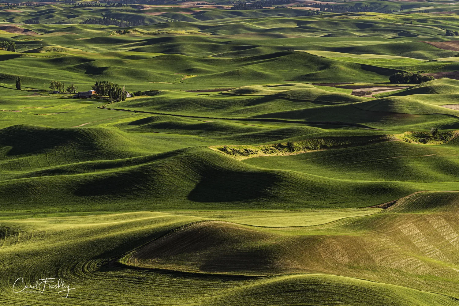 Palouse Valley-157.jpg