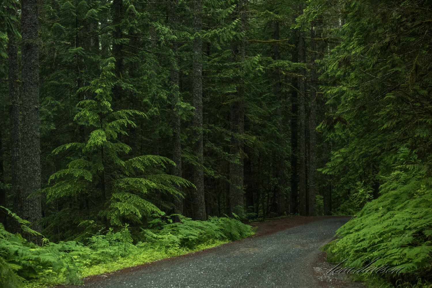 Anacortes-19.jpg