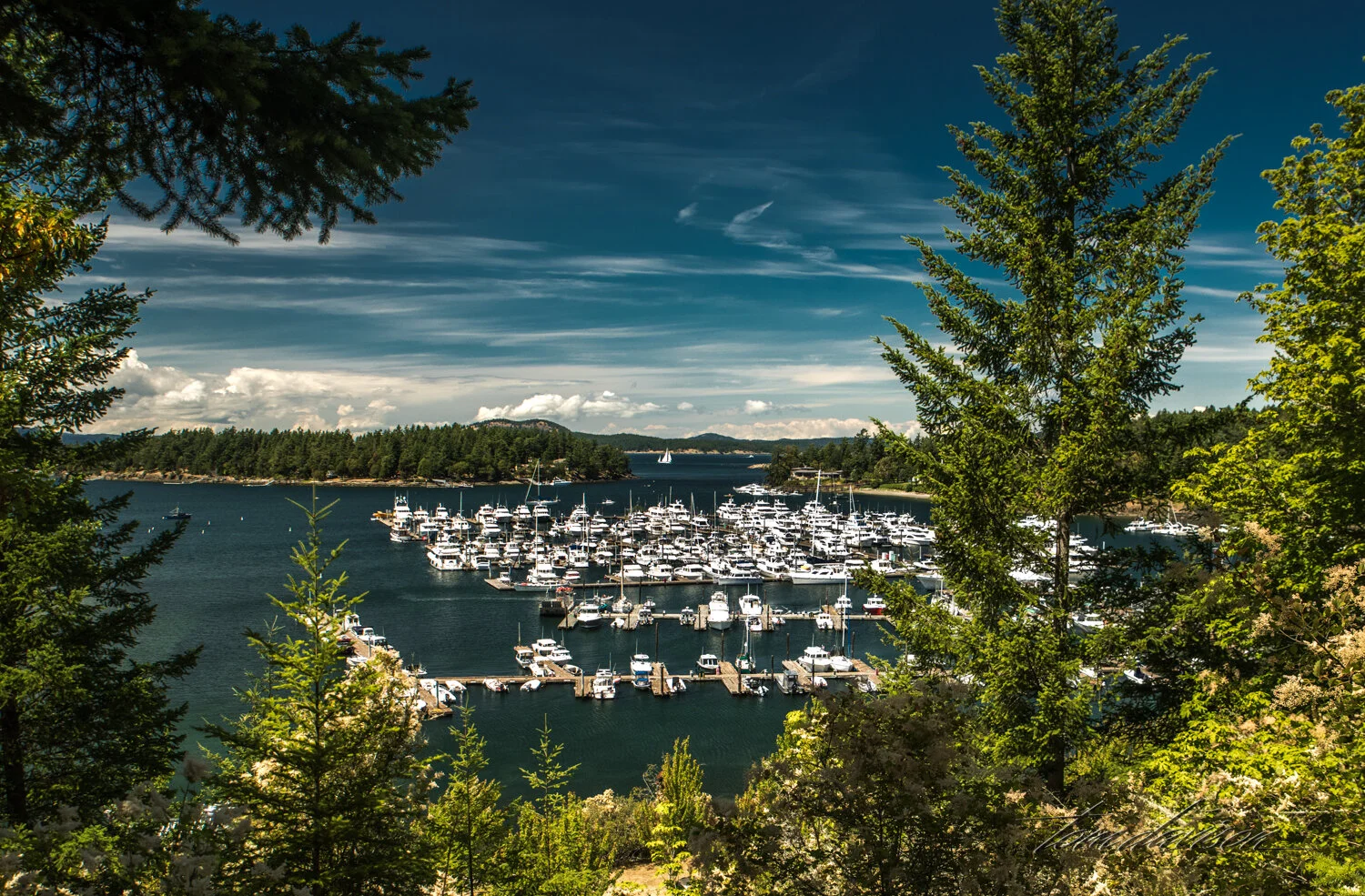 Anacortes-3.jpg