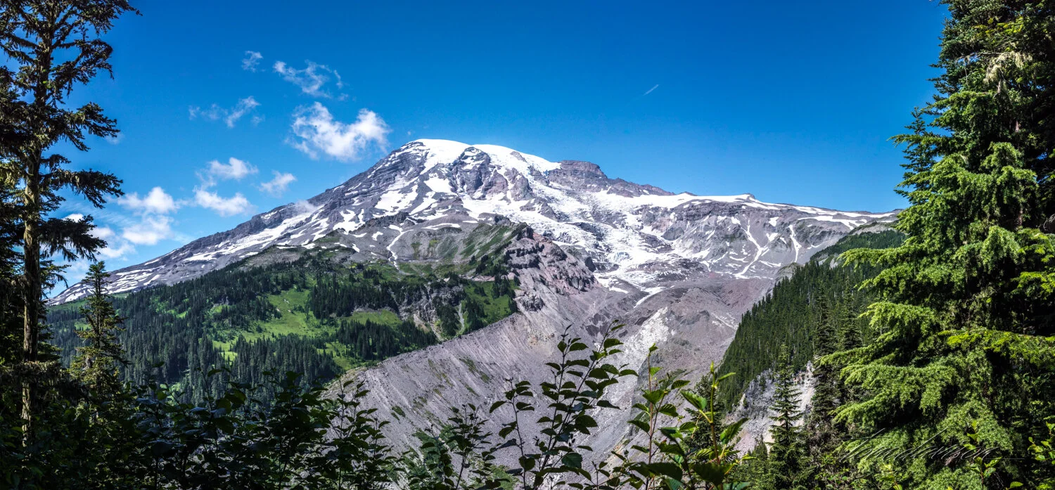 TD Mt Rainier-9.jpg