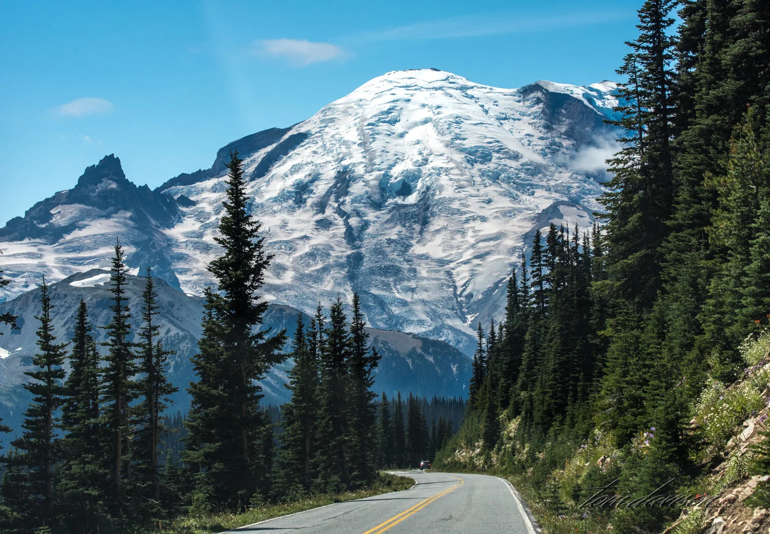 TD Mt Rainier-46.jpg