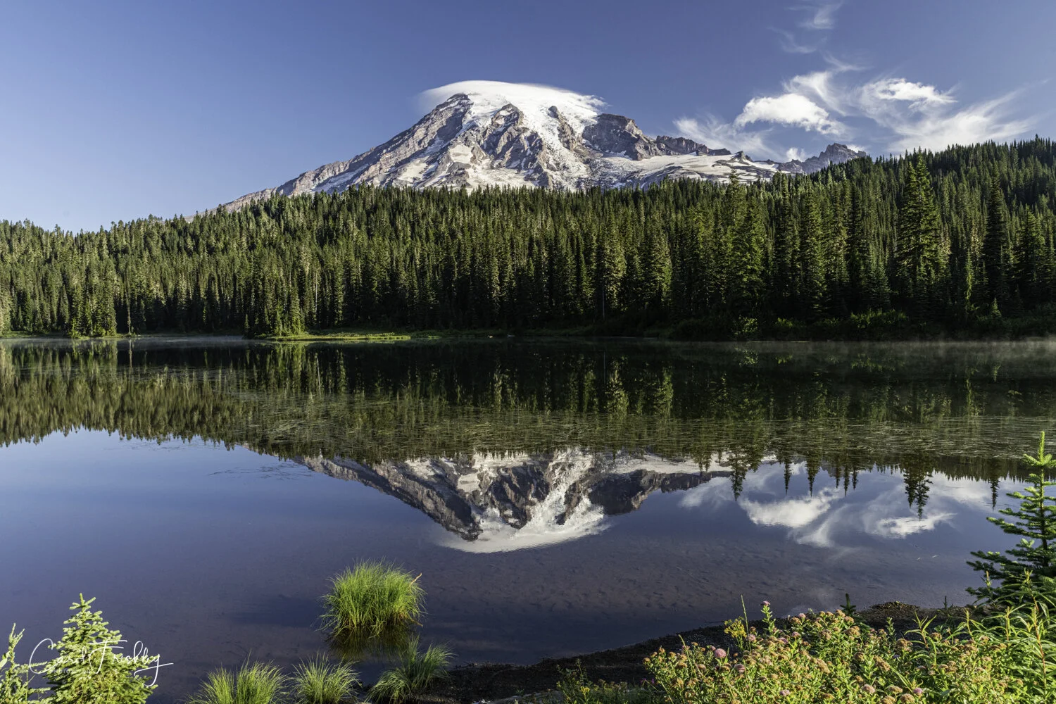 Of course, a mountain and some water always invite . . . This is Reflection Lake and it is located closer to the Paradise entrance. We were there several times but only once did we find the water to be still enough for a reflection.