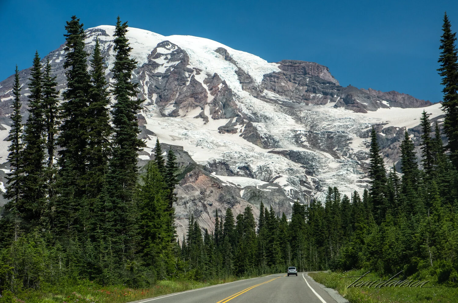 TD Mt Rainier-6.jpg