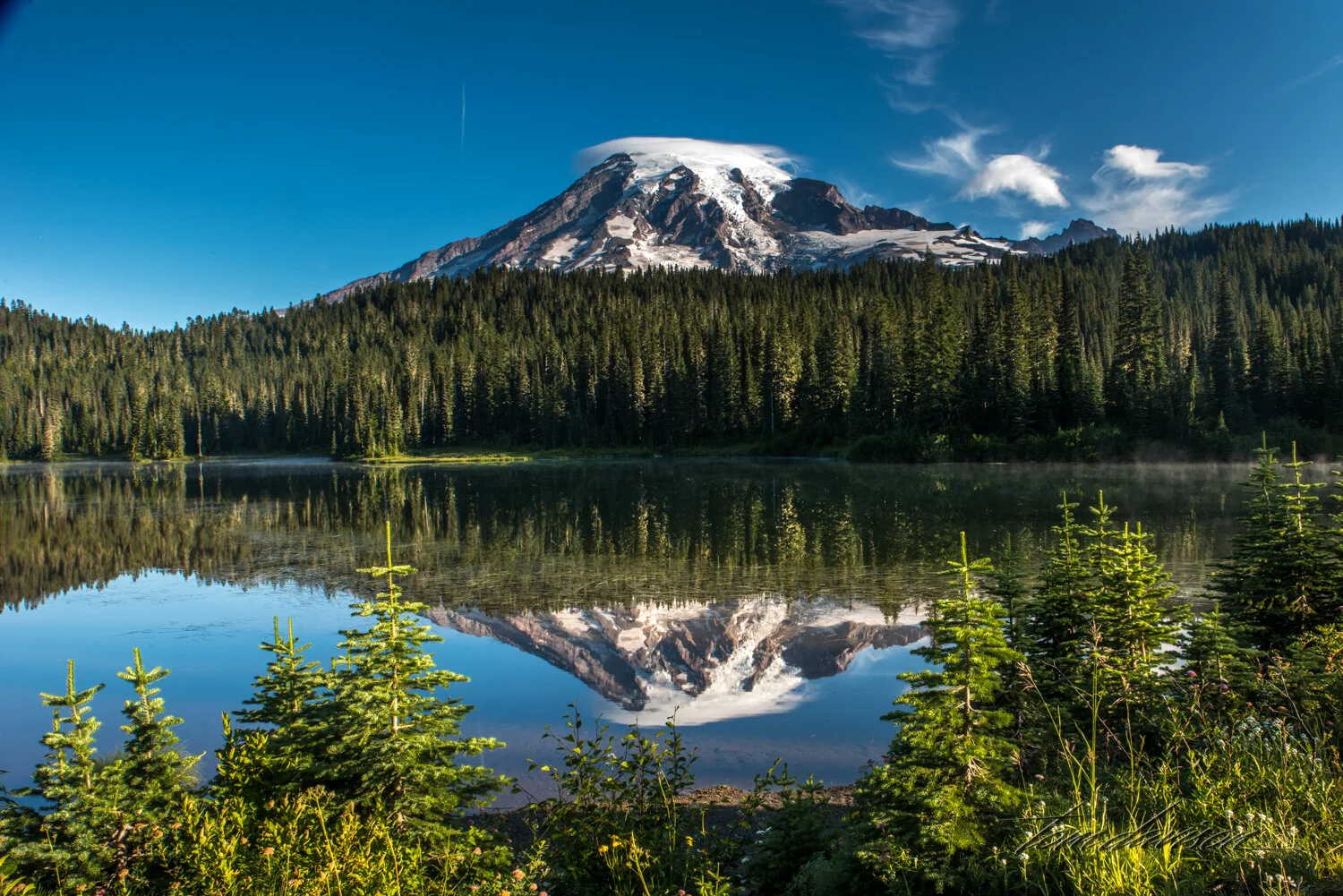 TD Mt Rainier-40.jpg