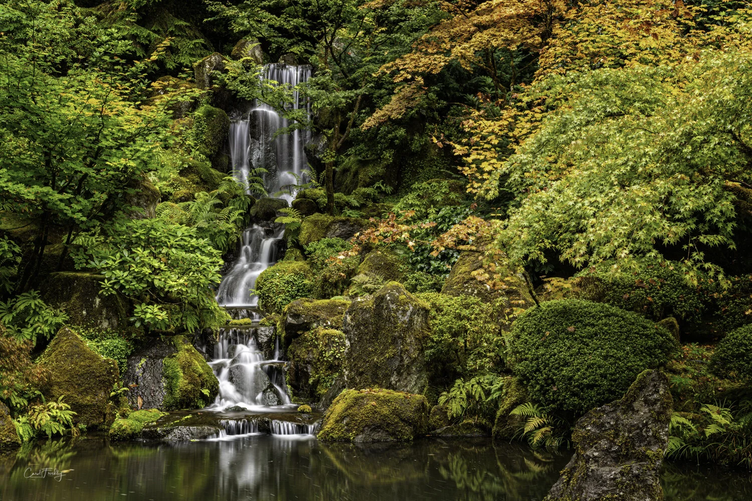 Portland Japanese Garden-19.jpg