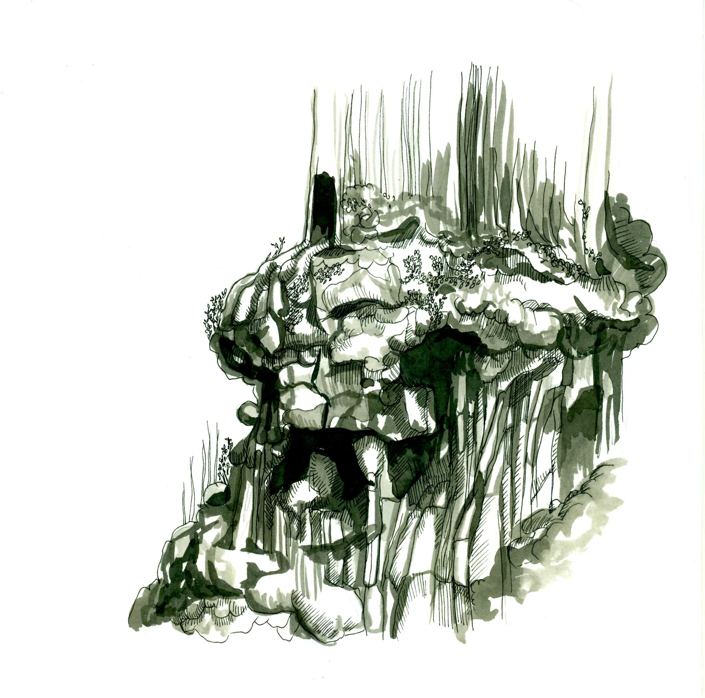 Ancient-burl FINAL.jpeg