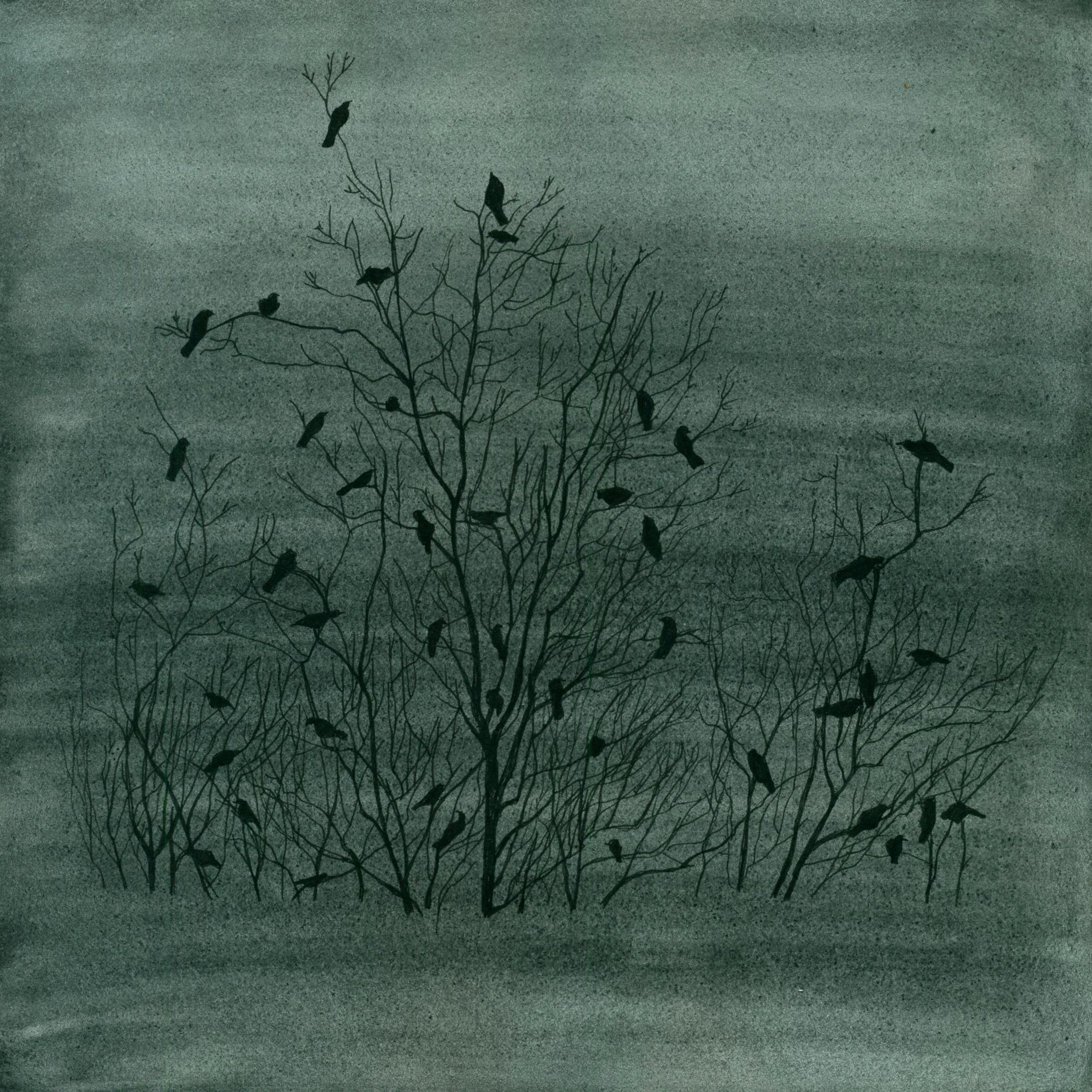 Dark-crows FINAL.jpeg