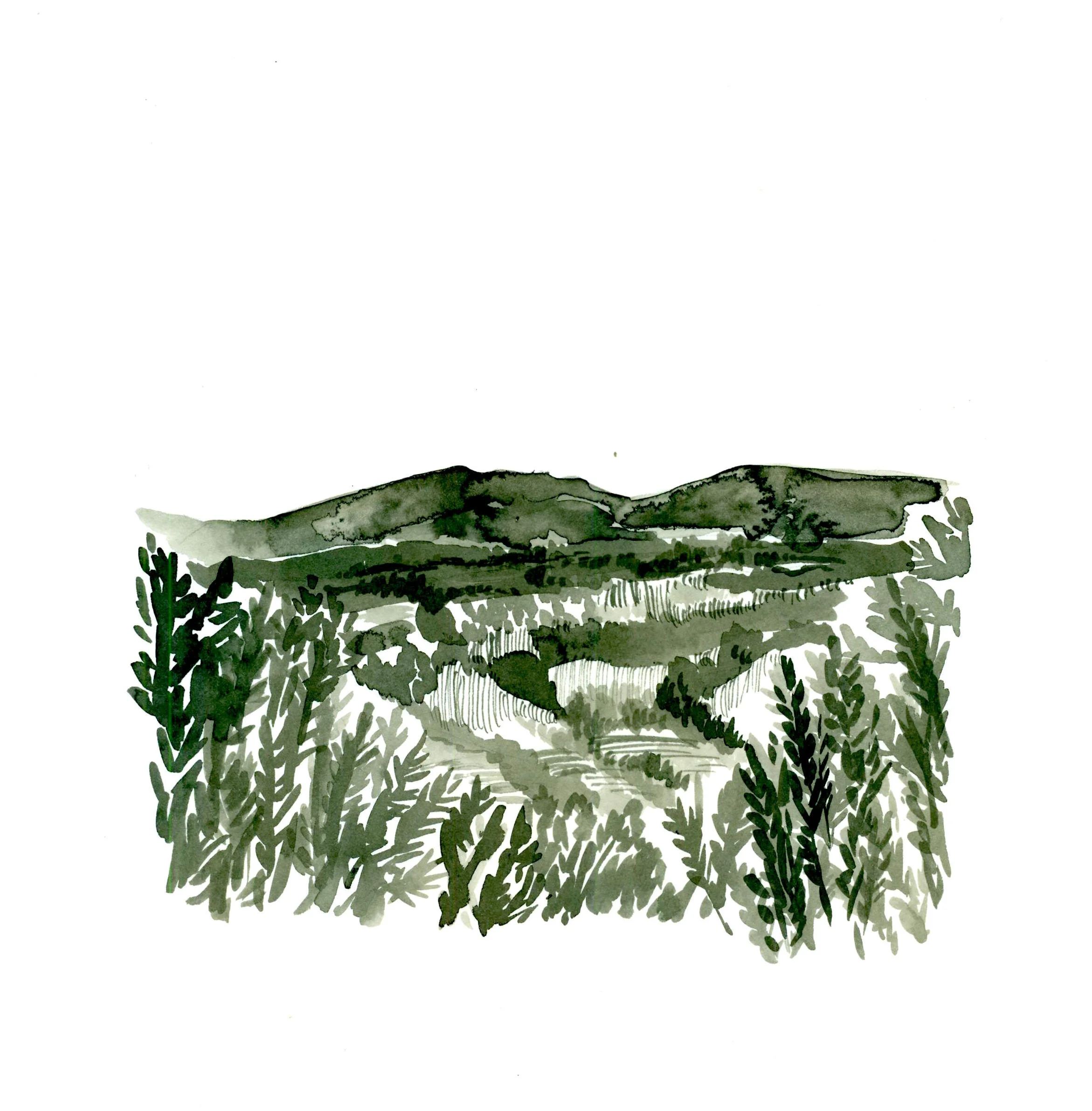 Ghost-Jemez FINAL.jpeg