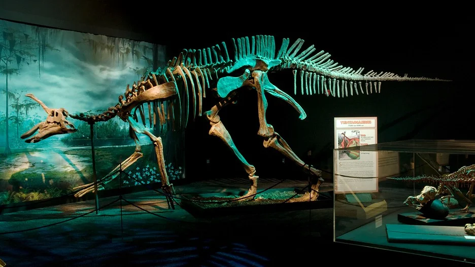 Arizona Science Center ( Image Source )
